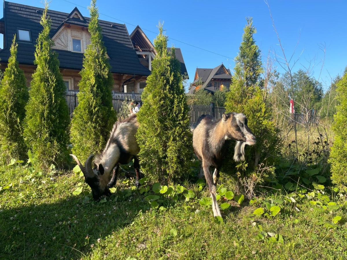 Aspen Ski Szymaszkowa Zakopane Bagian luar foto